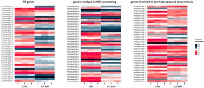 Transcriptome profiling of flax plants exposed to a low-frequency alternating electromagnetic field